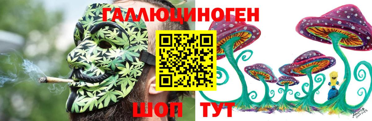 Галлюциногенные грибы MAGIC MUSHROOMS Прохладный