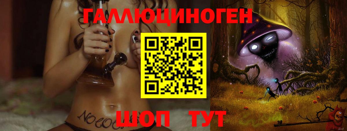 Псилоцибиновые грибы Psilocybine cubensis  Вход с VPN  Прохладный  Псилоцибиновые грибы GOLDEN TEACHER 